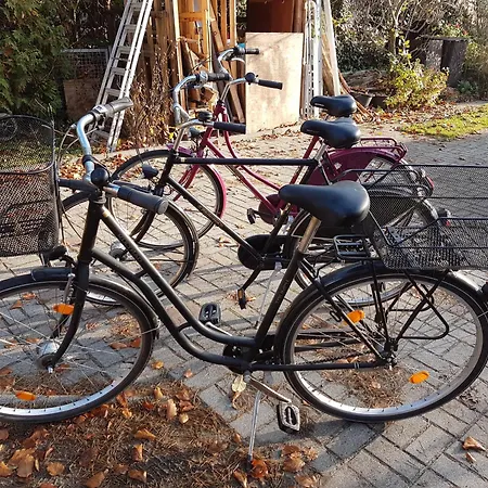 아파트 Im Haus Am Von Berlin